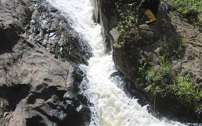 Photos de nourriture et boissons